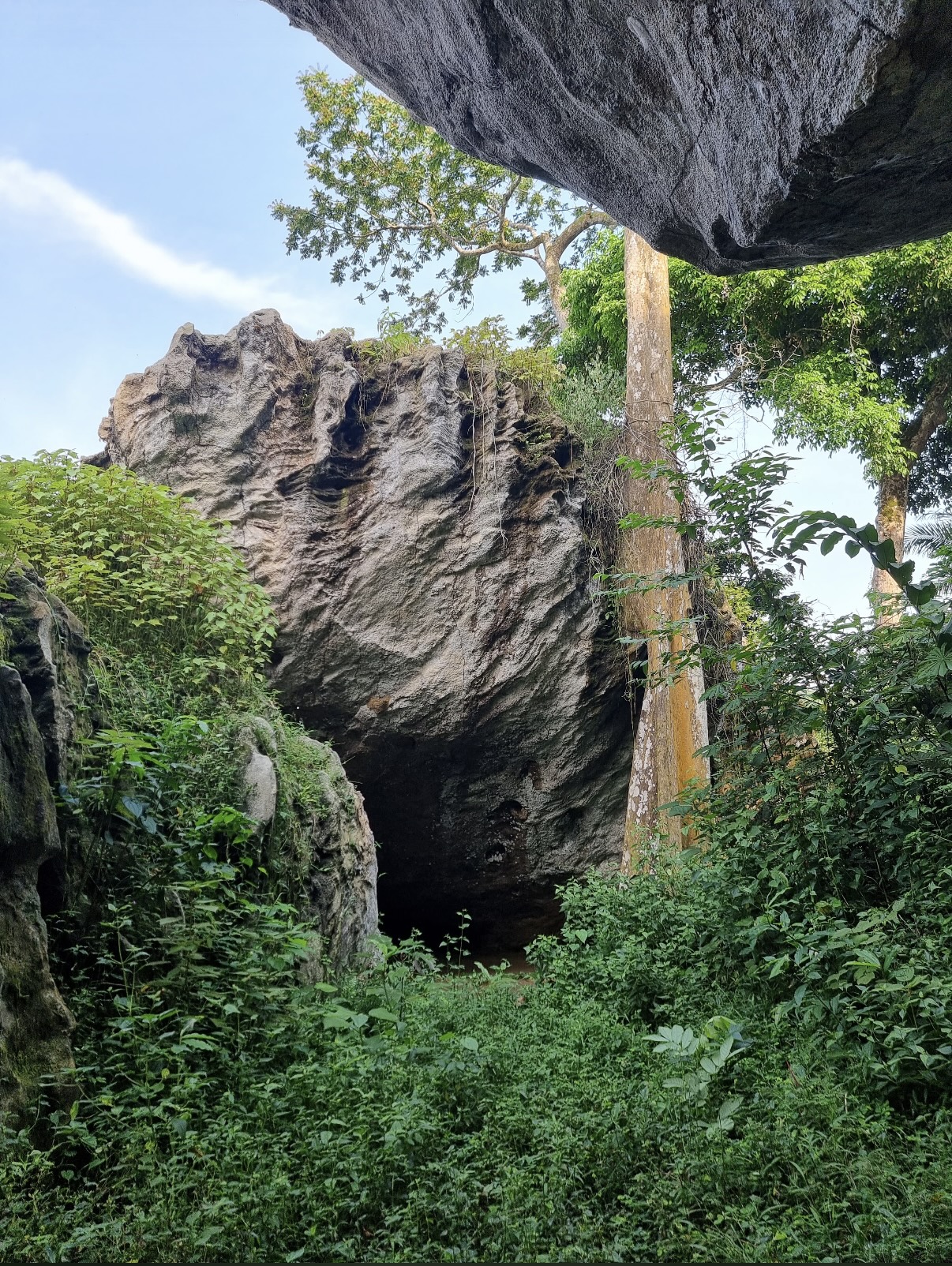 Cueva de Caracas