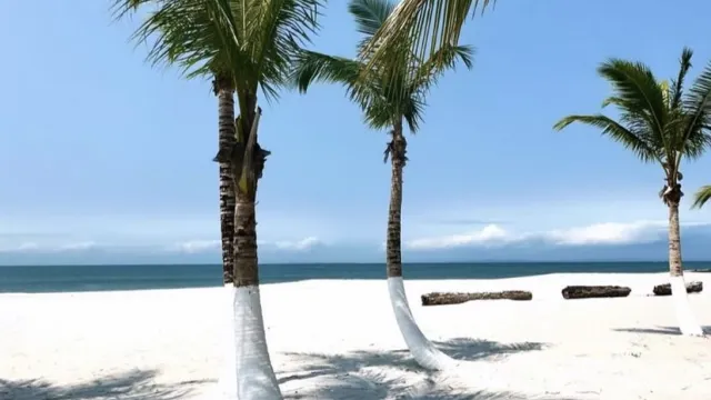 Img 0434