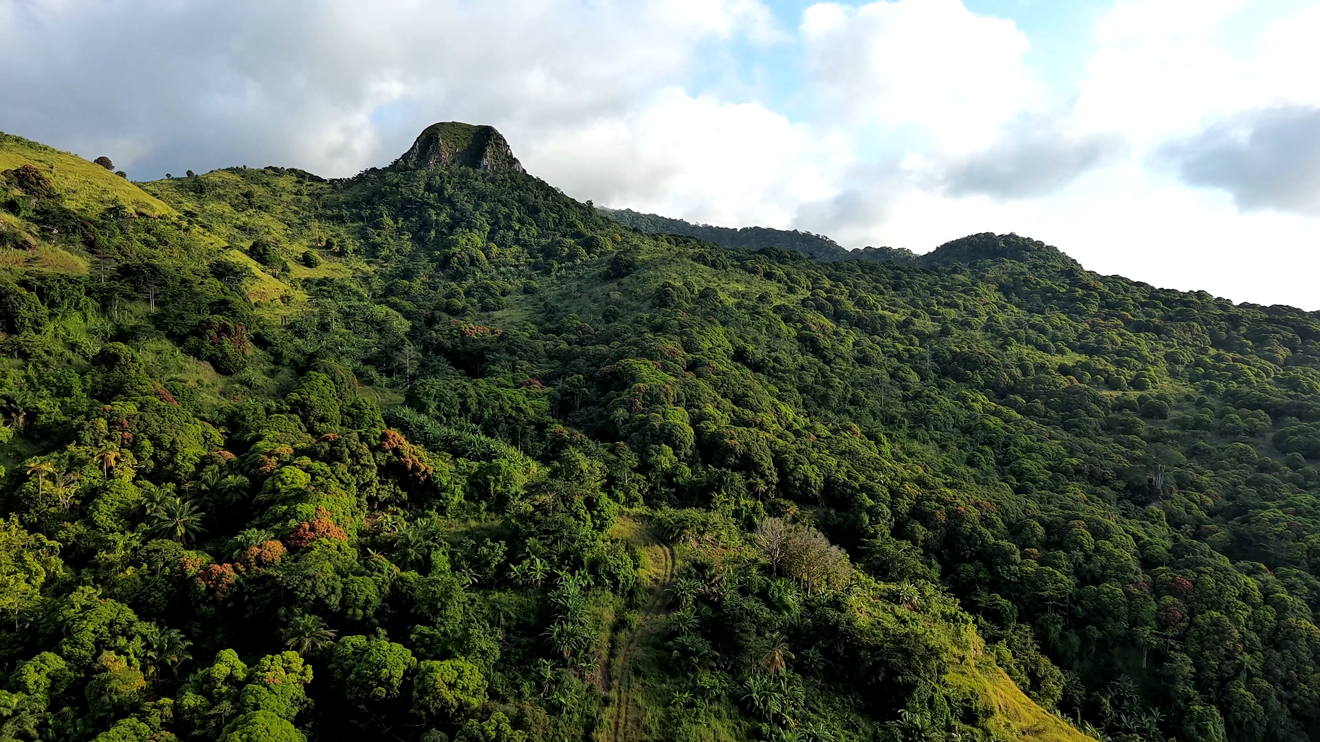 Parque Nacional del Pico Basilé